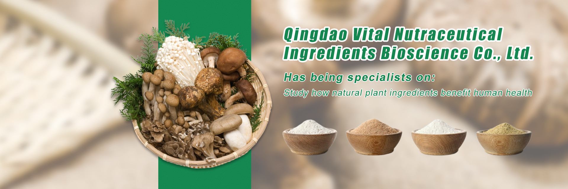 品質 植物薬草抽出物 工場